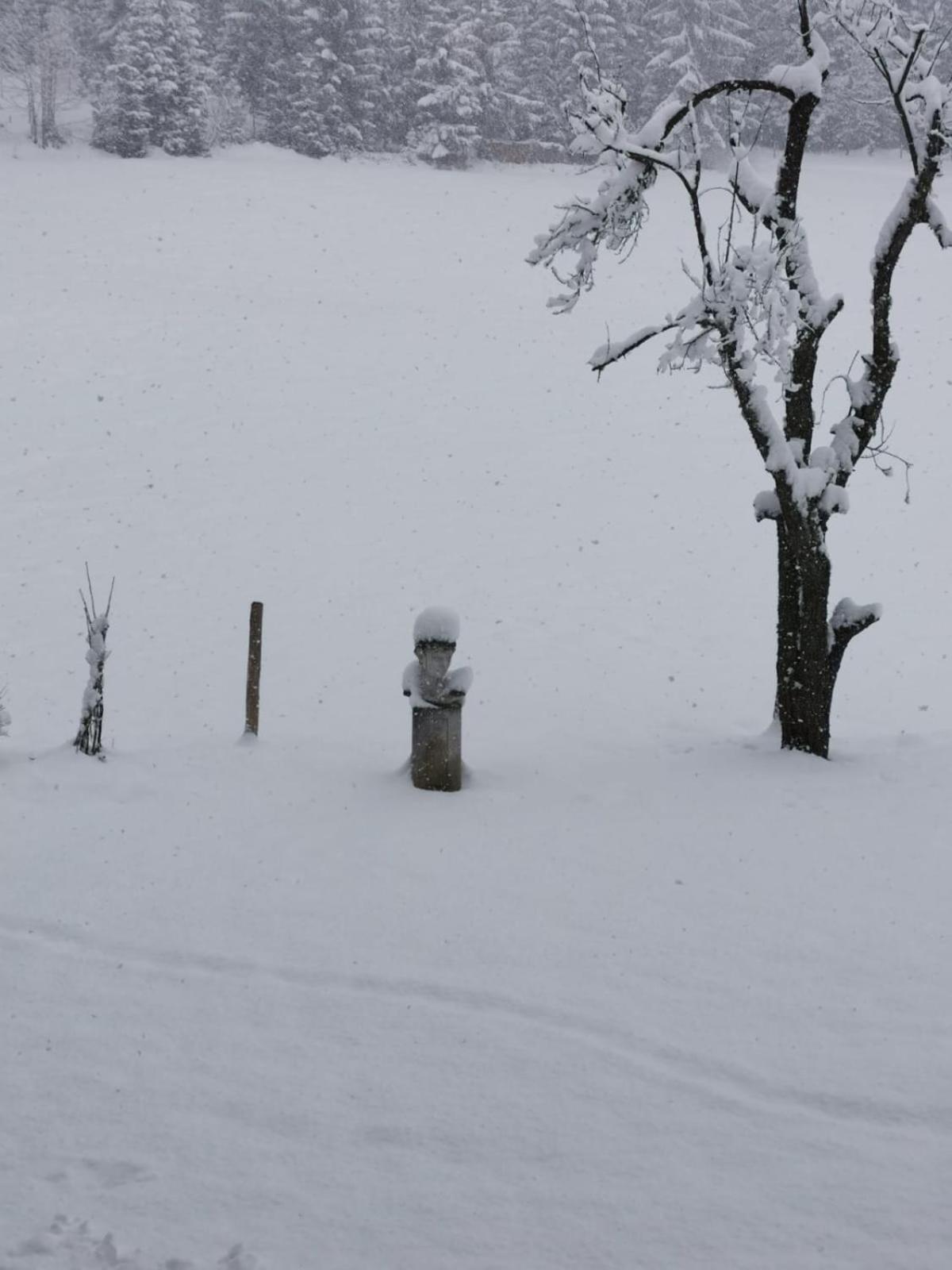 Alpenhof Sankt Martin am Tennengebirge Exterior foto