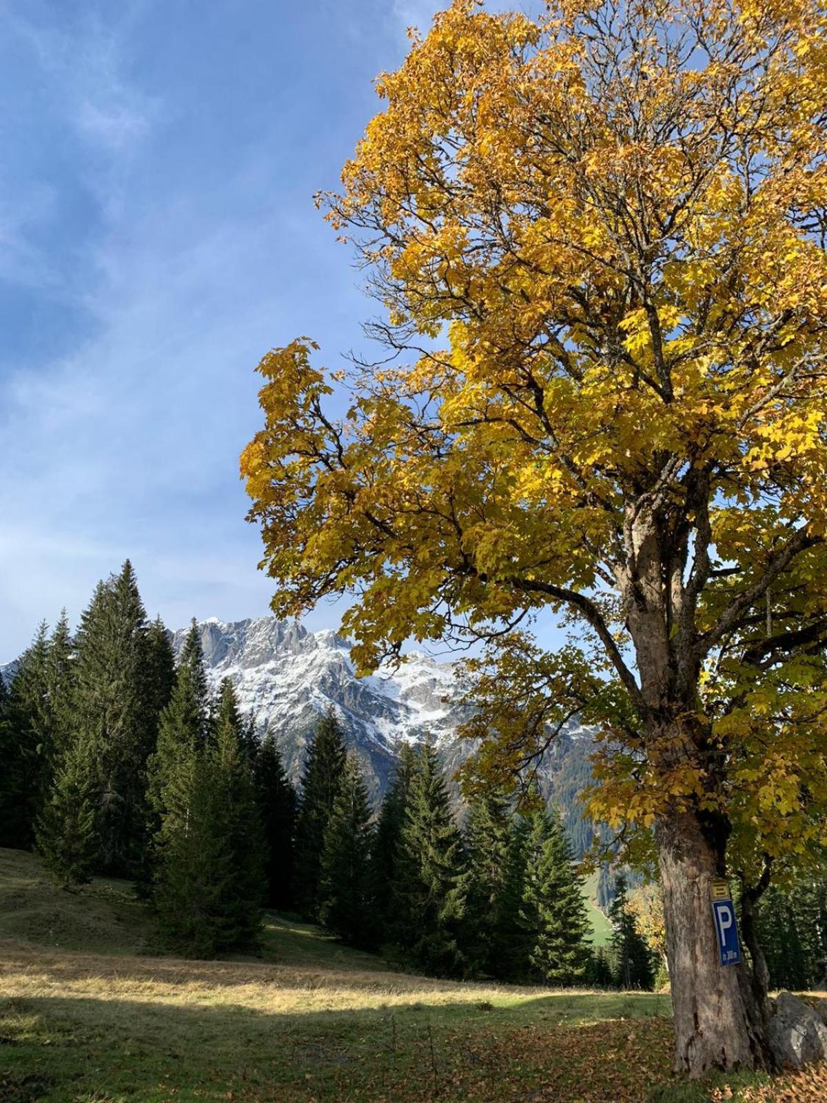 Alpenhof Sankt Martin am Tennengebirge Exterior foto